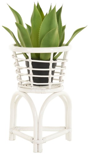 Rattan