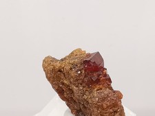 Tiefroter Granat auf Matrix -