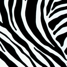 Klebefolie möbelfolie zebra - klebefolie,