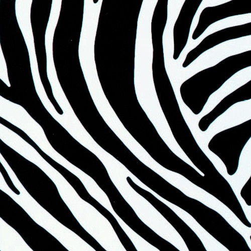 Klebefolie möbelfolie zebra - klebefolie,