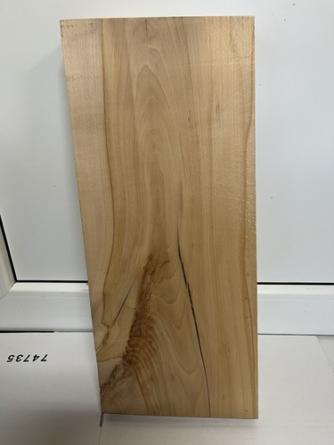 Buche bohle gerissen - buche,