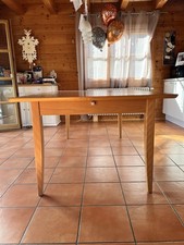 Stabiler schlanker Buche