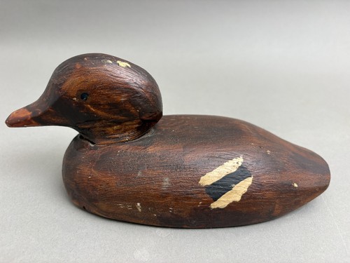 Stockente lockvogel signiert - stockente,
