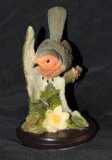 Unsere schöne Vogelwelt