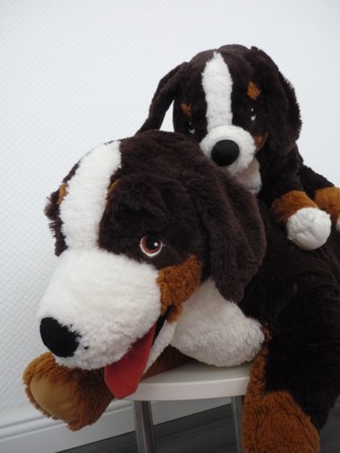 Ikea hoppig hund berner - 2x,