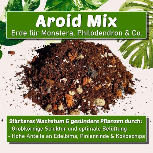 Monstera erde aroid - aroid, mix