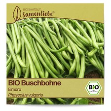 BIO Bohnen Samen Sorte Elmoro