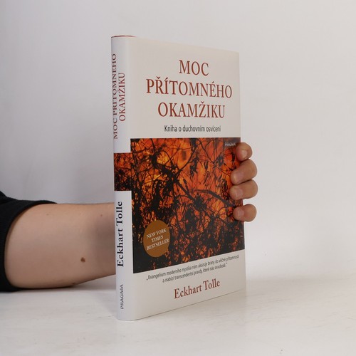 Moc přítomného okamžiku