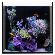 Gallon cube aio - 10,