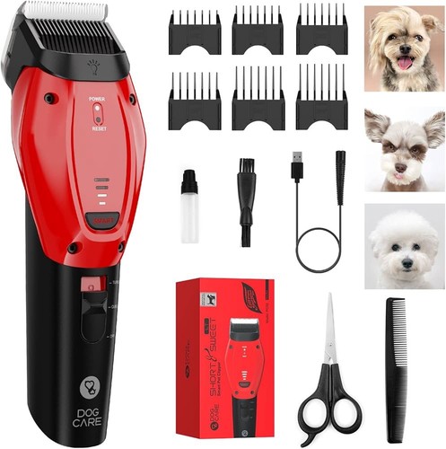 Dog care - dog,