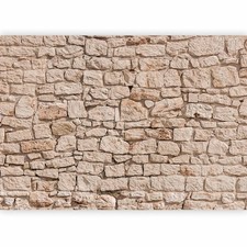 STEINOPTIK MAUER STEINWAND