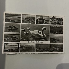 AK Alte Postkarte vom Bodensee
