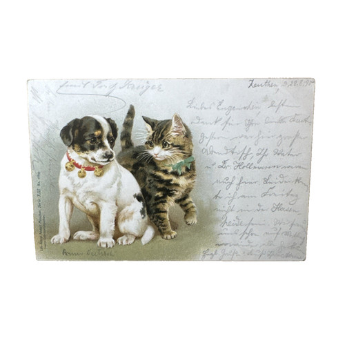 Ansichtskarte postkarte katze - ansichtskarte,