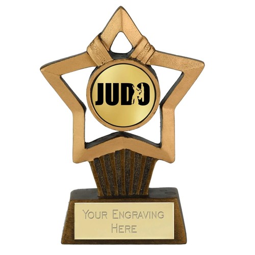 Kampfsport judo award - kampfsport,