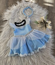 Disney Cinderella Fasching
