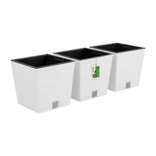 Prosperplast Furu Pflanzkübel