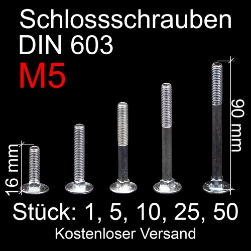 Schlossschrauben verzinkt - schlossschrauben, m5