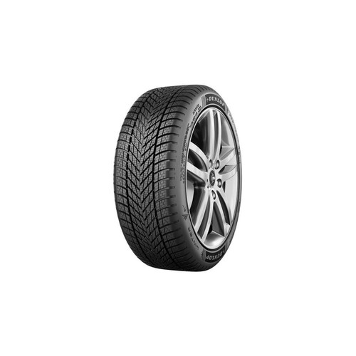 Dunlop winter 225 - 225/45, 95v