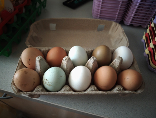 Eier eierkarton 10 - eier,