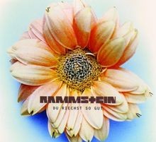 Riechst gut von - riechst,