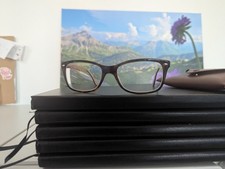Ray Ban Brillengestell