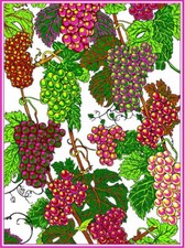 6 St Geschirrtücher