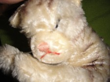 Kuscheltier : Schmusetier 