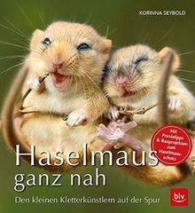 Haselmaus ganz nah - :, den