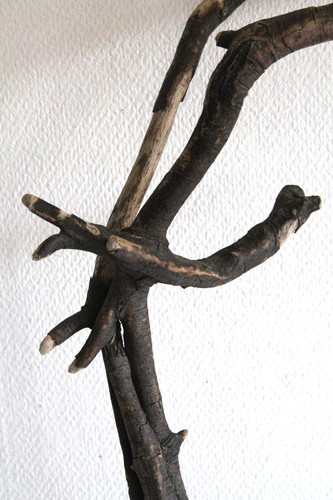Schwemmholz treibholz skulptur - treibholz,