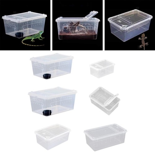 Reptilien futterbox mit - reptilien,