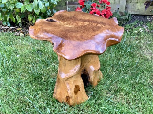 Teak wurzelholz tisch - teak,