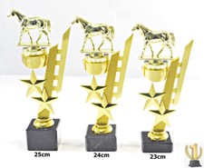Pferd - Reitsport- Trophäe /