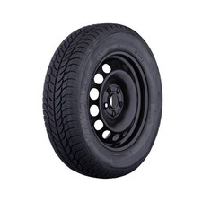4x Winterräder für Fiat Scudo Reifen 215/60R17C Dunlop