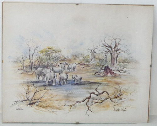 Elefant wildlife scene - wildlife, print