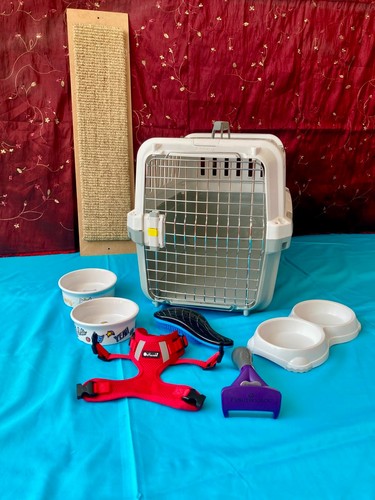 Katzen starter set - katzen, starter-set:
