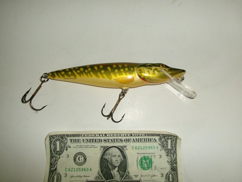 Salmo poland body - 6-1/4",