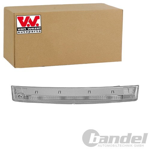 Van wezel dritte - wezel, 3