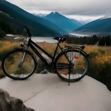 Damen Fahrrad * GUDEREIT RC60 * Trekkingrad 28" Rh 53 * Shimano * Alufelgen*****