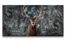 120x60cm Leinwandbild Hirsch