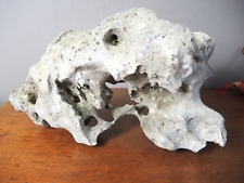 Lochstein für Aquarien Bonsai Terrarium aus Vietnam