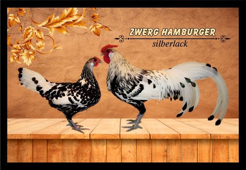 Fußmatte schmutzfangmatte - fußmatte,