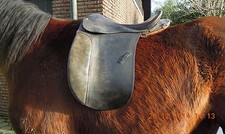 Frahm Parcour 146 18" Wanderreitsattel Distanzsattel Töltsattel Endurancesattel