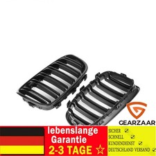 Kühlergrill Nieren Grill