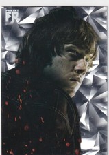 Panini harry potter evolution - panini,