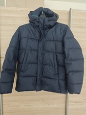 Herren Winterjacke Esprit BLAU
