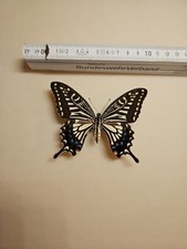 ENTOMOLOGIE, SCHMETTERLING