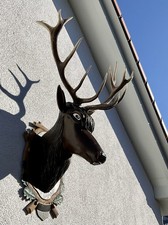 Hirschkopf geschnitzt mit