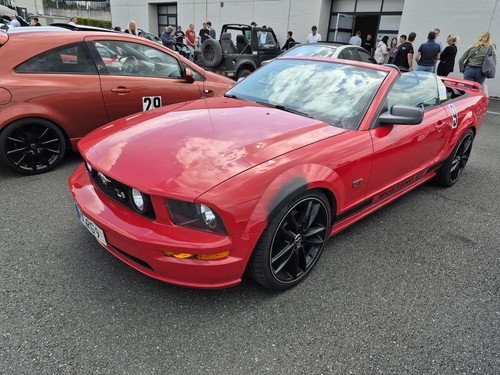 Ford mustang v8 - mustang, gt