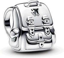 PANDORA MOMENTS Charm