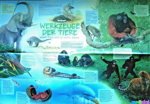 59x41 poster werkzeuge der - 59x41,